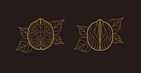 Walnut illustrations with leaves dark Stock Illustration