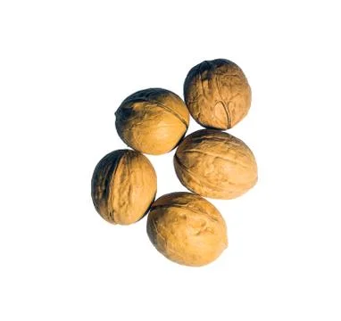 Walnut isolate Stock Photos