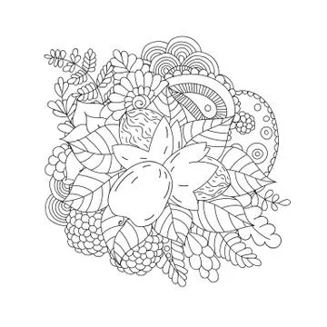 Walnut isolated. Black and white doodle pattern Stock Illustration