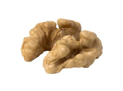 Walnut isolated. Nut kernel on white background. Stock Photos