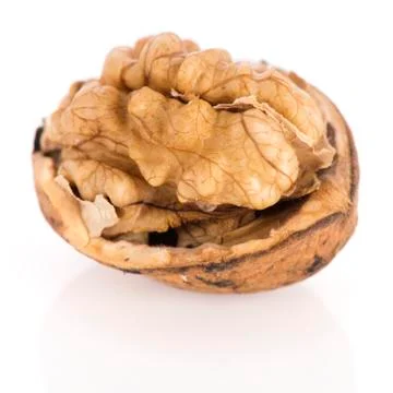 Walnut isolated over white background Stock Photos