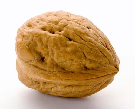 Walnut isolated Foto stock