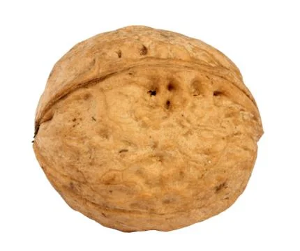 Walnut isolated Stock Photos