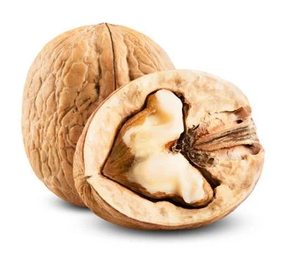 Walnut isolated Stock-Fotos