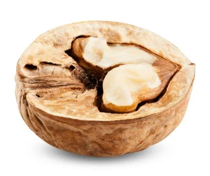 Walnut isolated Stock Photos