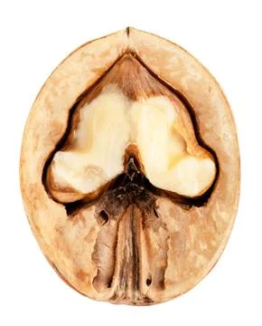 Walnut isolated Foto stock