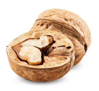Walnut isolated Stock Photos