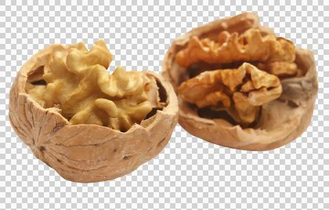 Walnut isolated Stock Photos