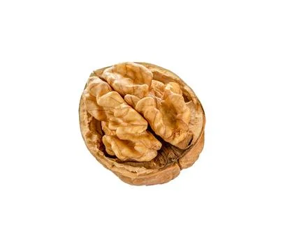 Walnut isolated. Walnuts kernel Stock Photos