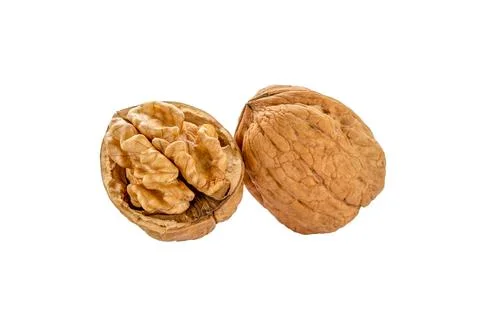 Walnut isolated. Walnuts kernel Stock Photos