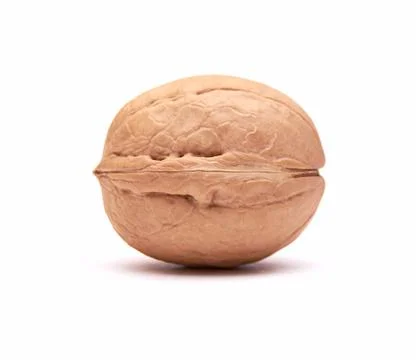 Walnut on an isolated white background. Close up. Macro. Stock Photos