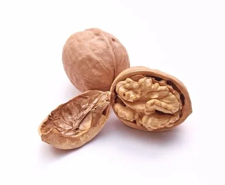 Walnut on an isolated white background. Close up. Macro. Stock Photos