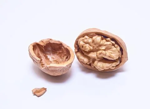 Walnut on an isolated white background. Close up. Macro. Stock Photos