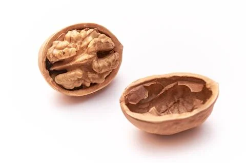 Walnut on an isolated white background. Close up. Macro. Stock Photos