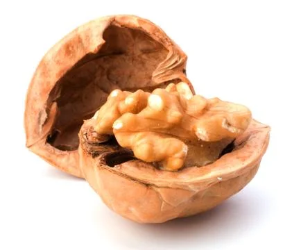 Walnut isolated on white background Stock Photos