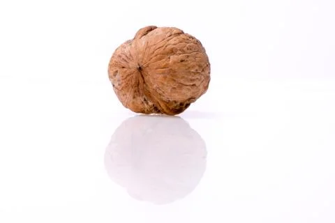 Walnut isolated on the white background Stock Photos