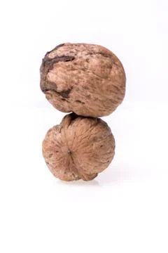 Walnut isolated on the white background Stock Photos