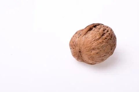 Walnut isolated on the white background Stock Photos