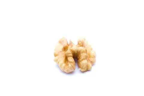Walnut isolated on white background. Stock Photos