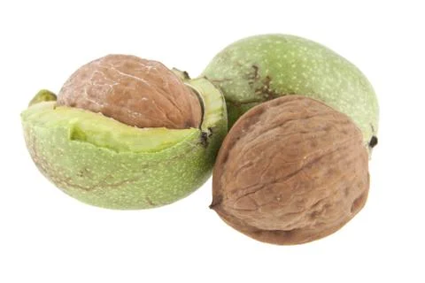 Walnut isolated on white background 스톡 사진