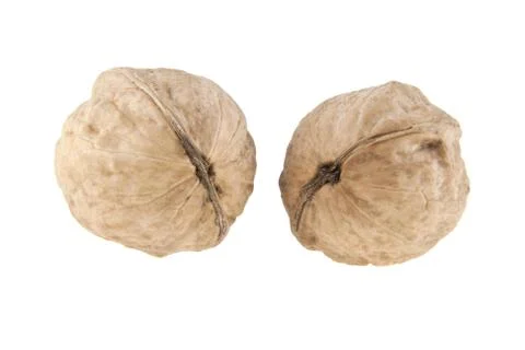 Walnut isolated on white background Stock Photos