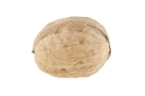 Walnut isolated on white background Stock Photos