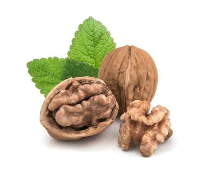 Walnut isolated on white background. Fotos de archivo