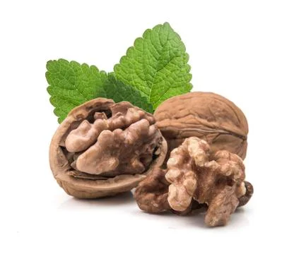 Walnut isolated on white background. Foto stock