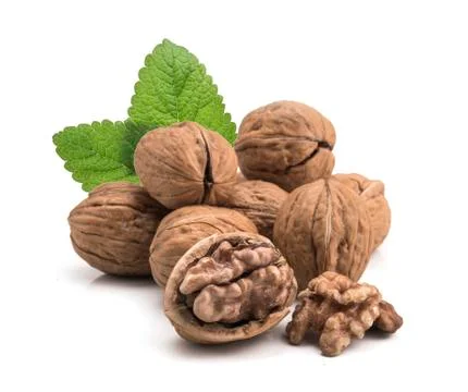 Walnut isolated on white background. Fotos de archivo