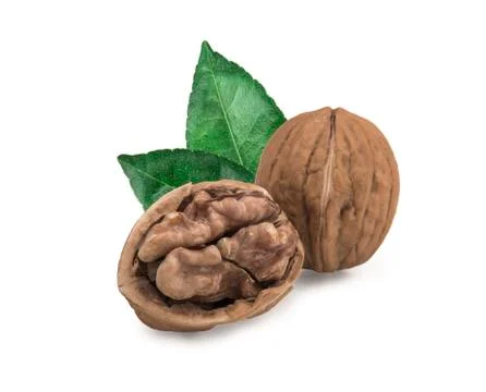 Walnut isolated on white background. 写真素材