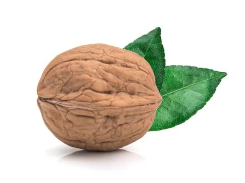 Walnut isolated on white background. Foto stock