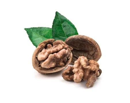 Walnut isolated on white background. Foto stock