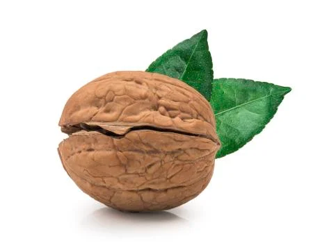 Walnut isolated on white background. Stockfoto's
