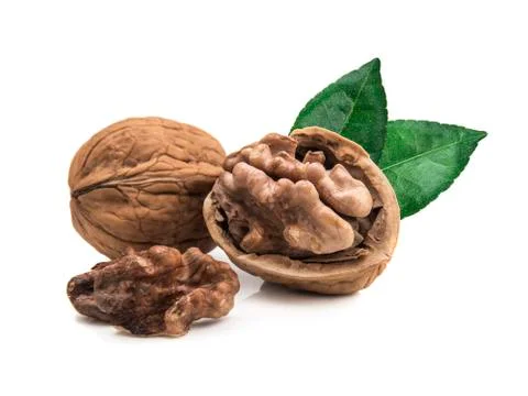 Walnut isolated on white background. 写真素材