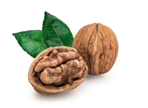Walnut isolated on white background. 库存照片