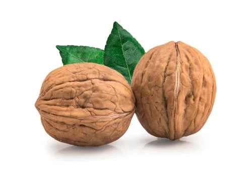 Walnut isolated on white background. Fotos de archivo