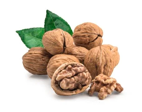 Walnut isolated on white background. 写真素材