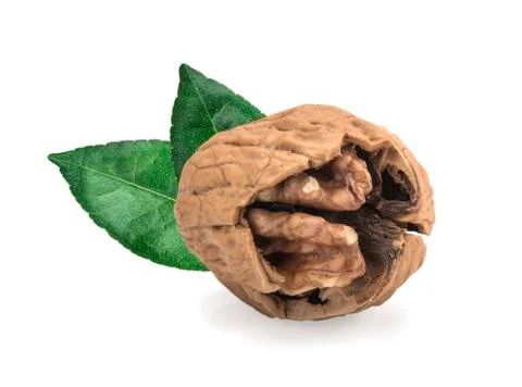 Walnut isolated on white background. Stockfoto's