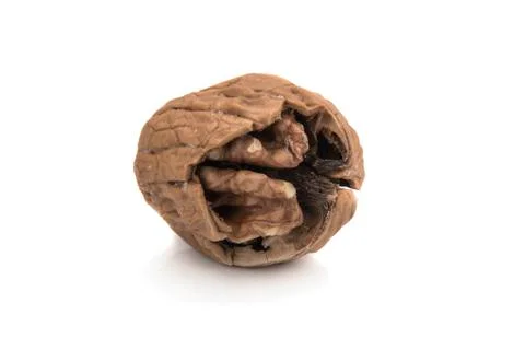 Walnut isolated on white background. Foto stock