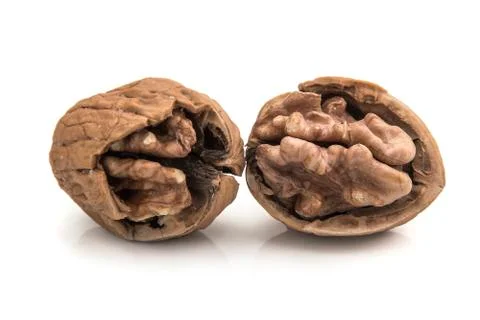 Walnut isolated on white background. Foto stock