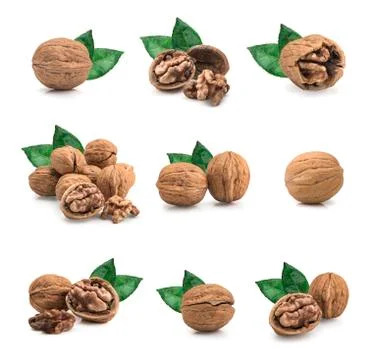 Walnut isolated on white background. Foto stock