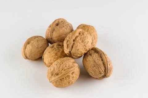 Walnut isolated on white background Stock Photos