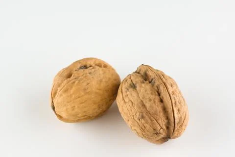 Walnut isolated on white background Foto stock