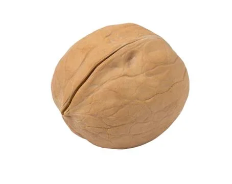 Walnut isolated on a white background. Stock Photos
