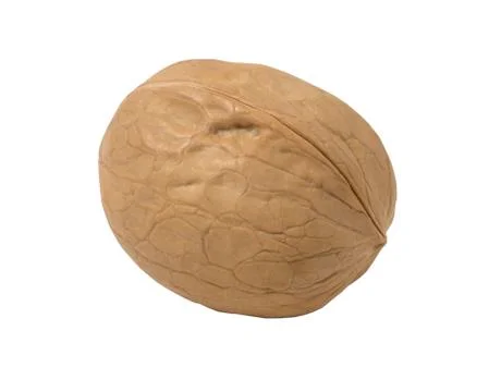 Walnut isolated on a white background. Stock Photos