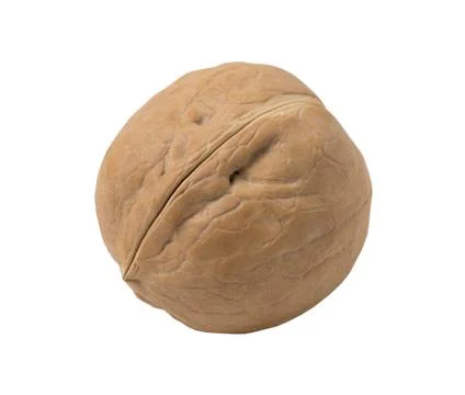 Walnut isolated on a white background. Stock Photos