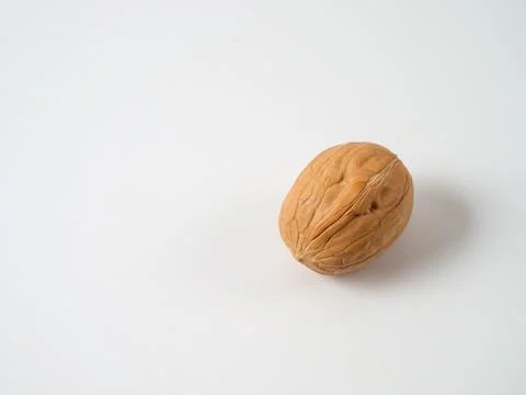 Walnut isolated on white background. Stock Photos
