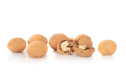 Walnut isolated on a white background. Stock Photos