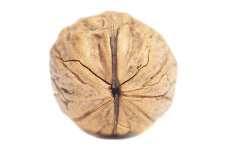 Walnut isolated on a white background Foto stock
