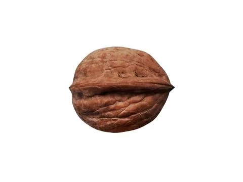 Walnut isolated on white background Stock Photos